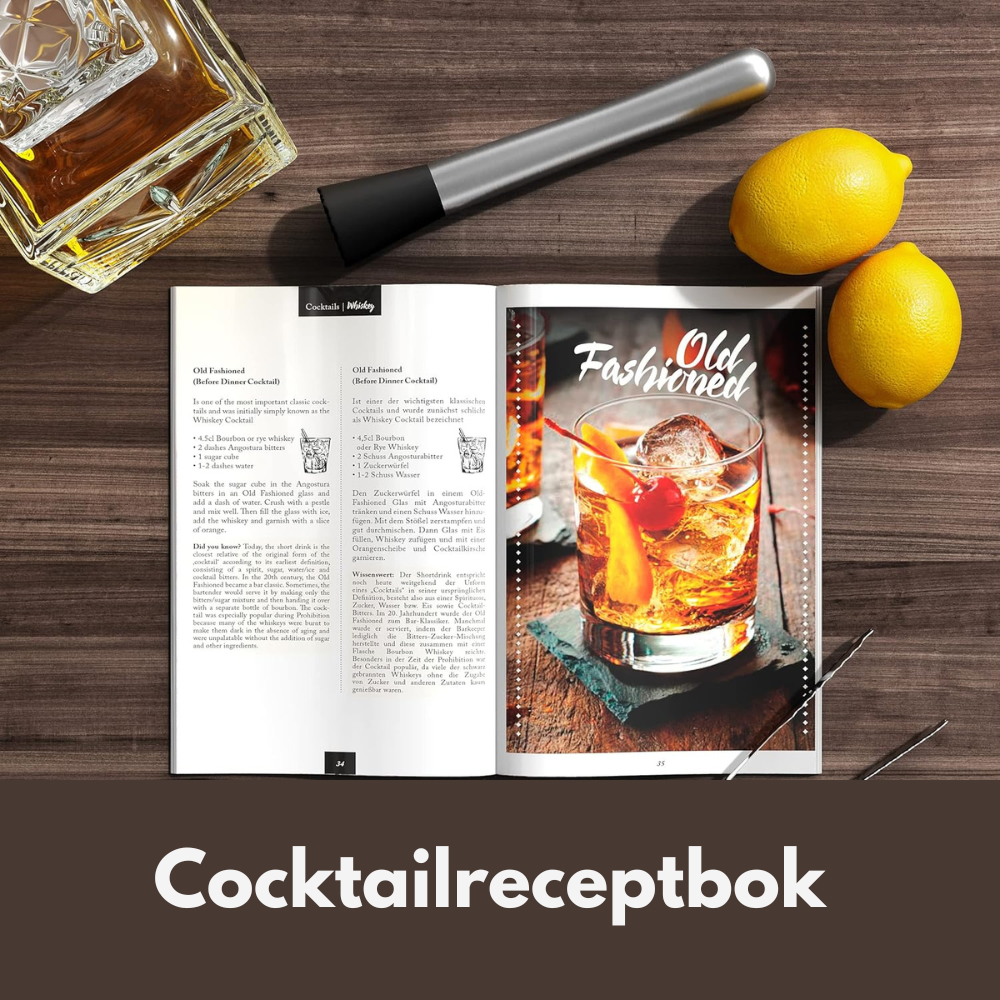 Cocktail Shakers Set Boston med stativ + receptbok
