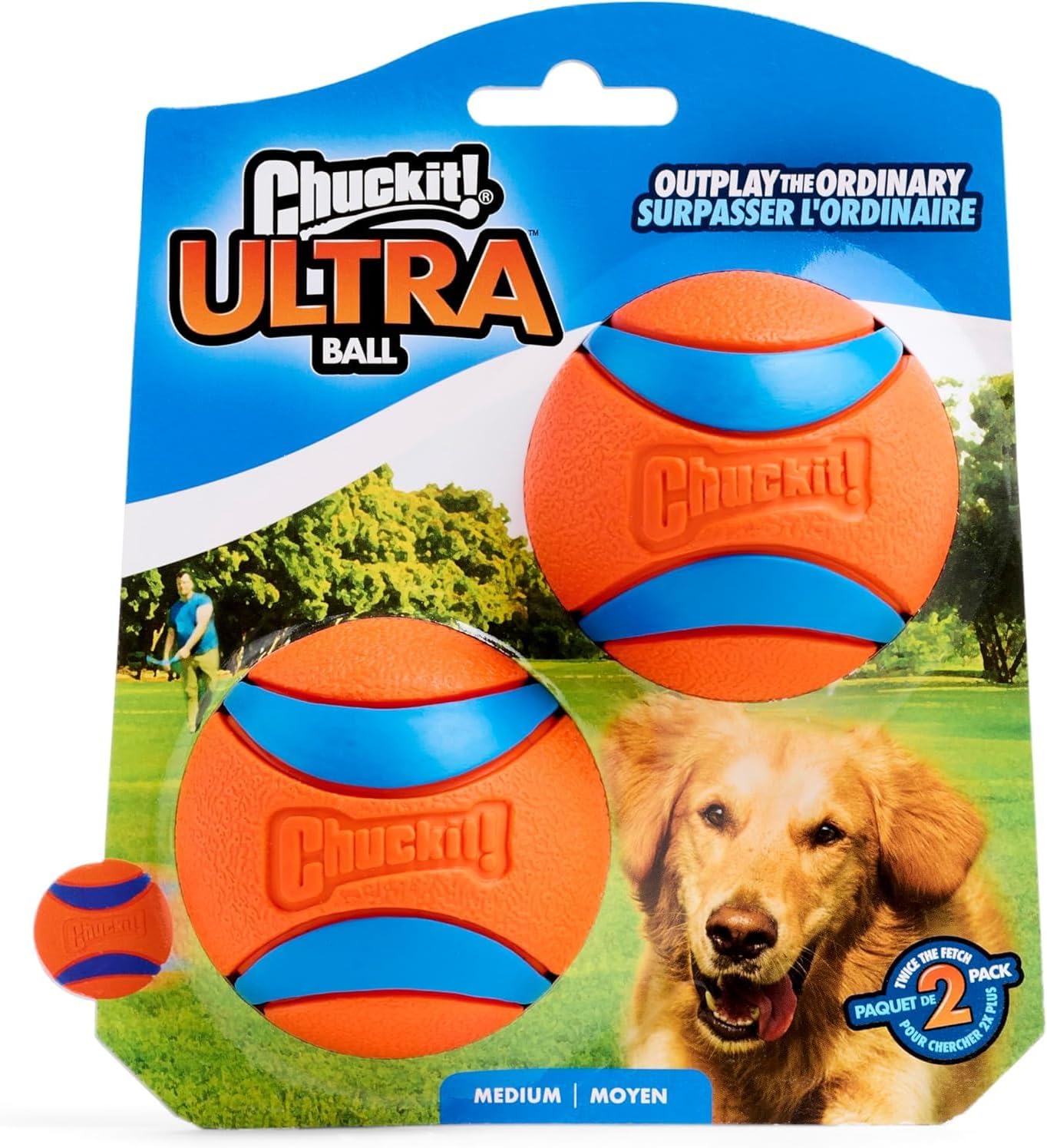 Hållbar hundboll för lek