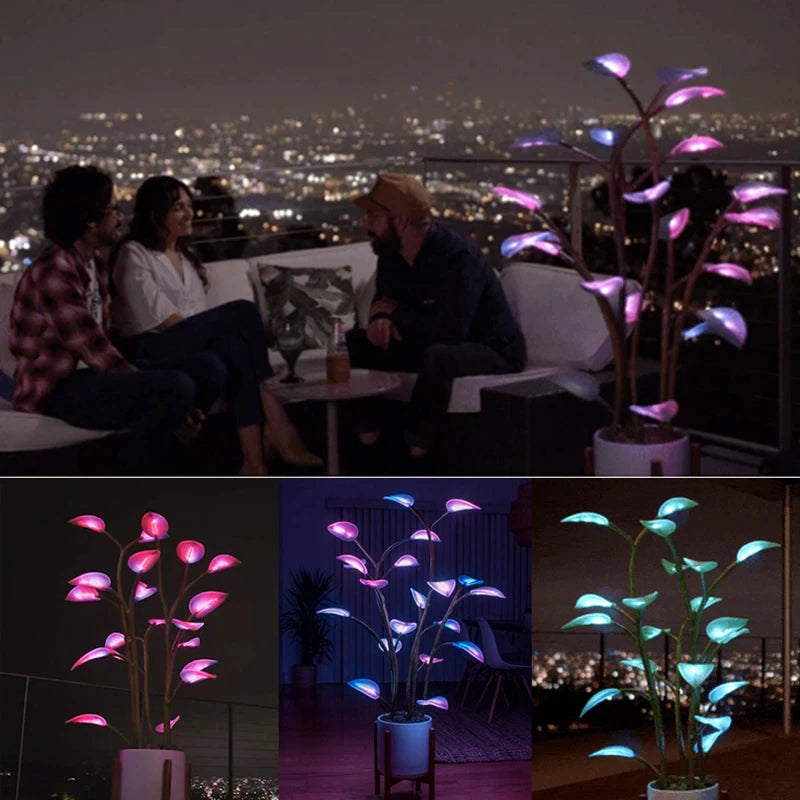 IlluminatingPlant™