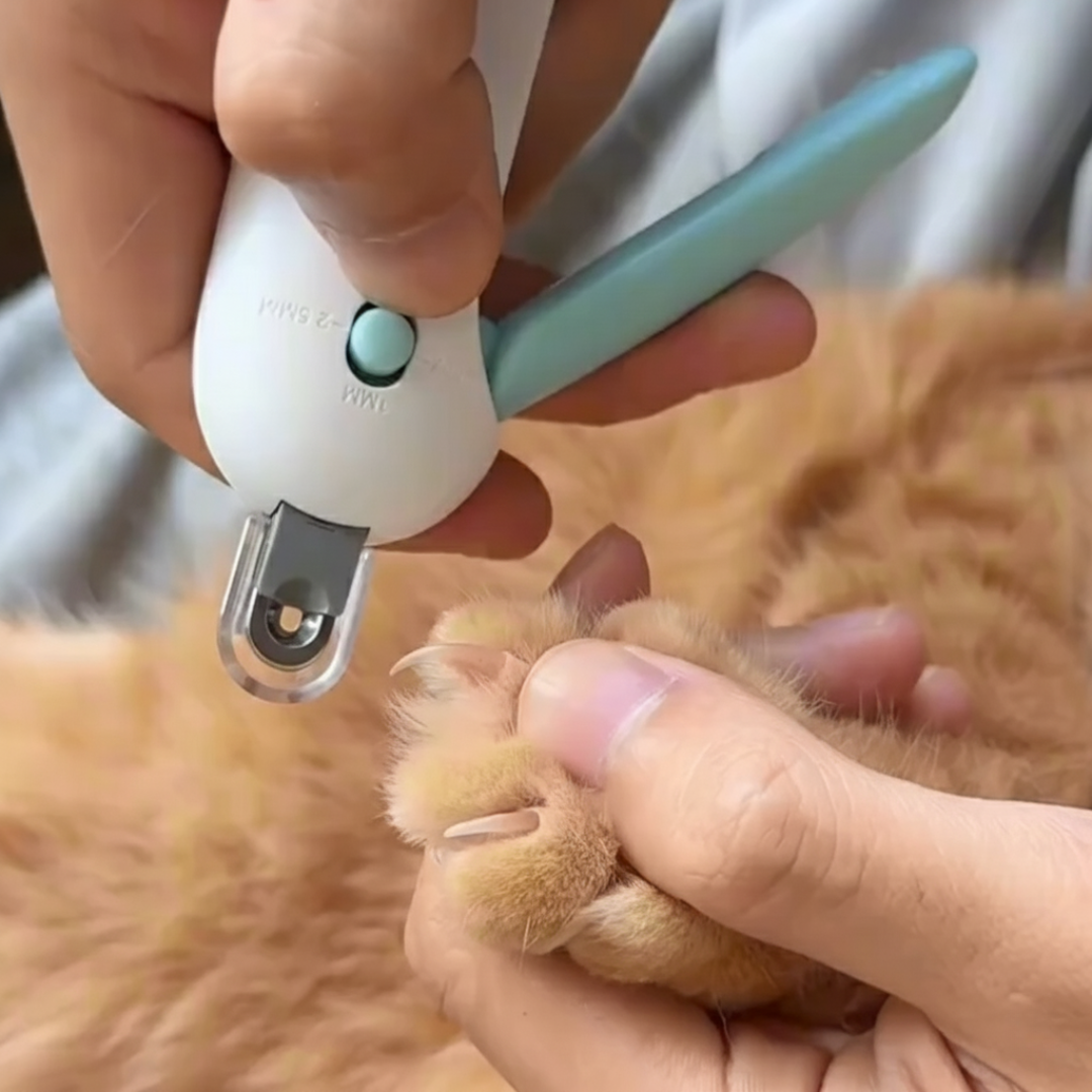 Justerbar klotång för husdjur