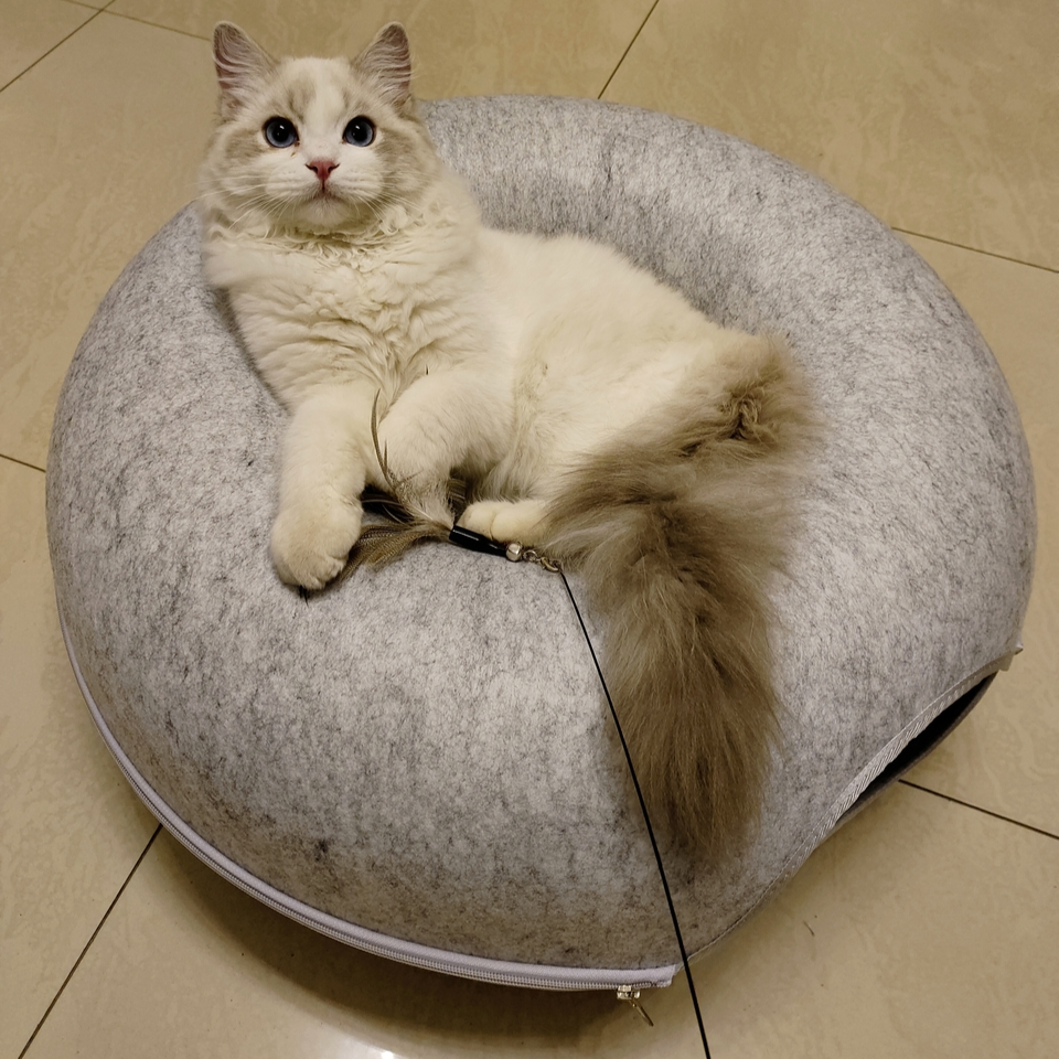 Kattsäng - tunnel