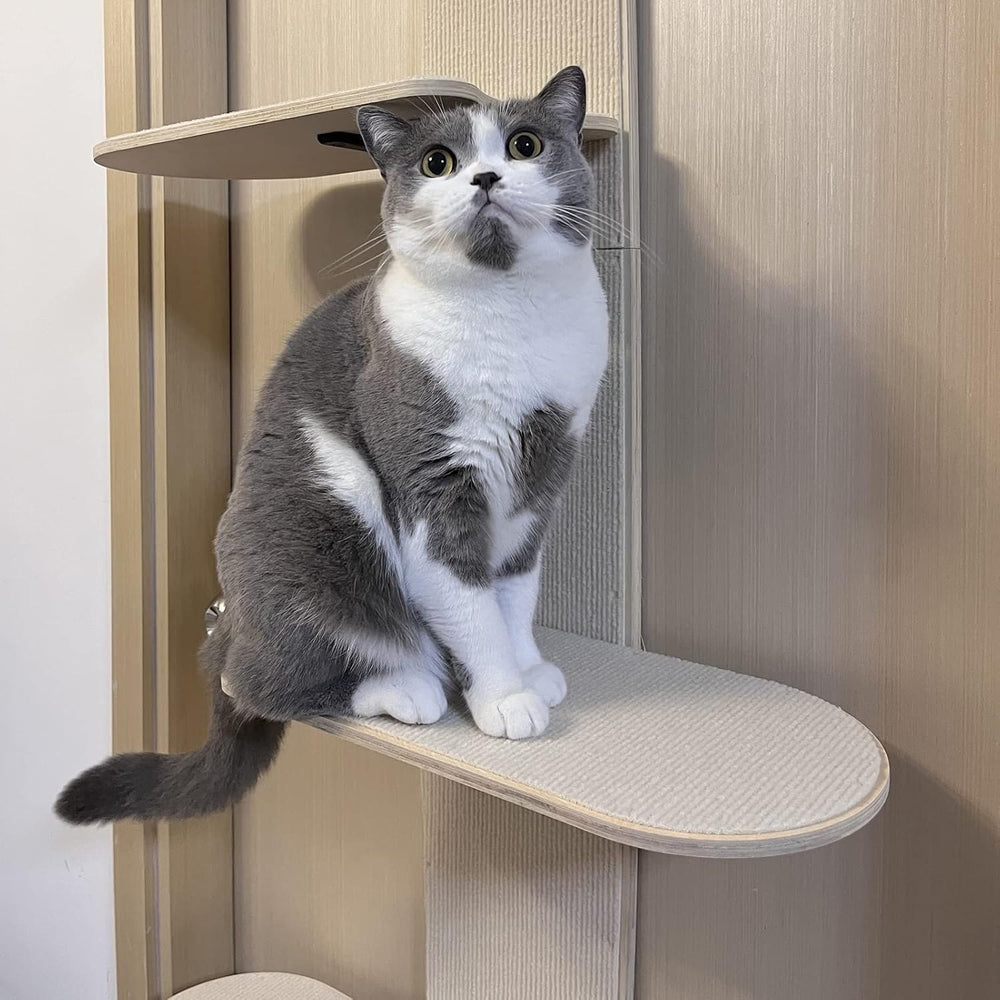 Katt på hylla i dörrmonterat kattklätterträd