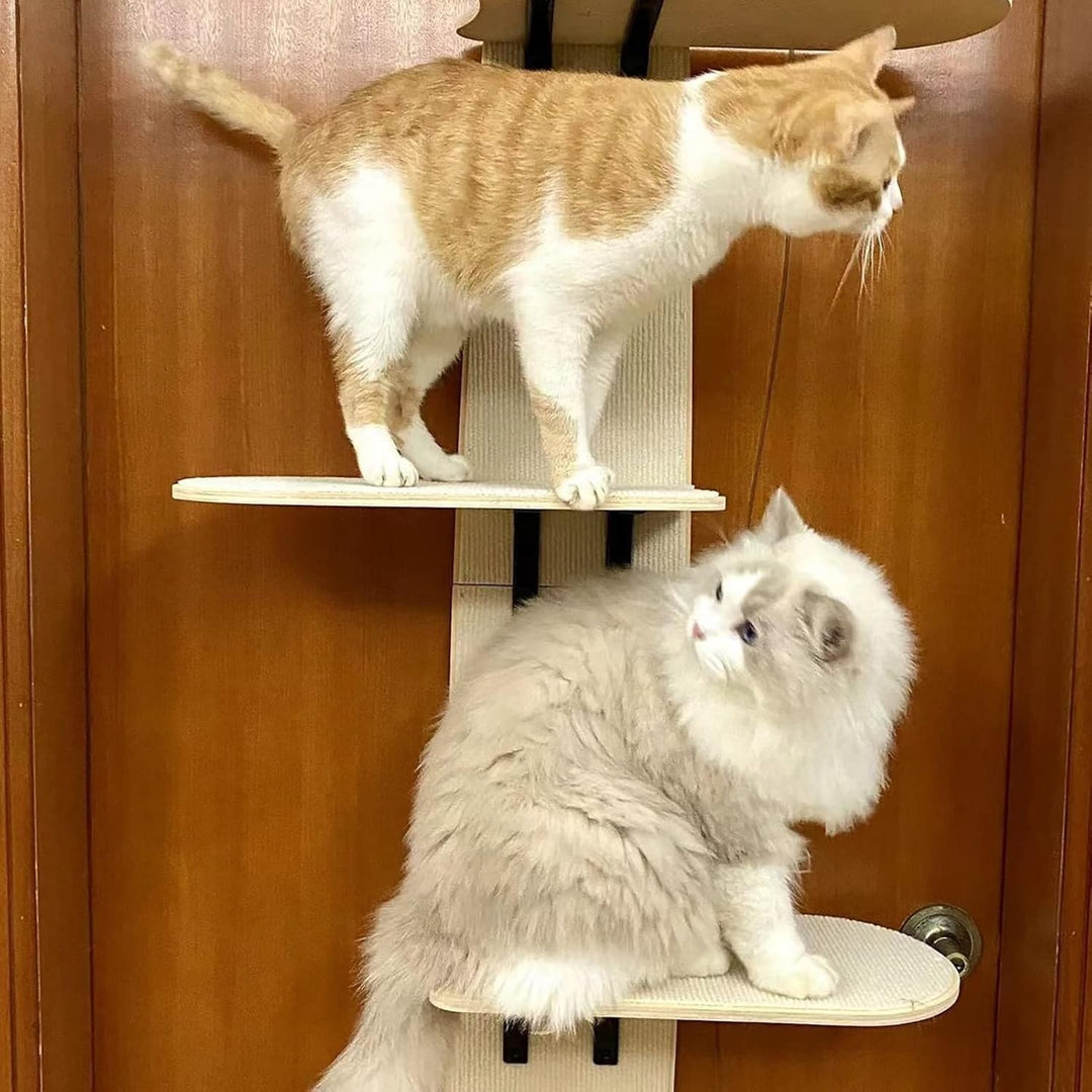 Två katter på dörrmonterade kattplatser