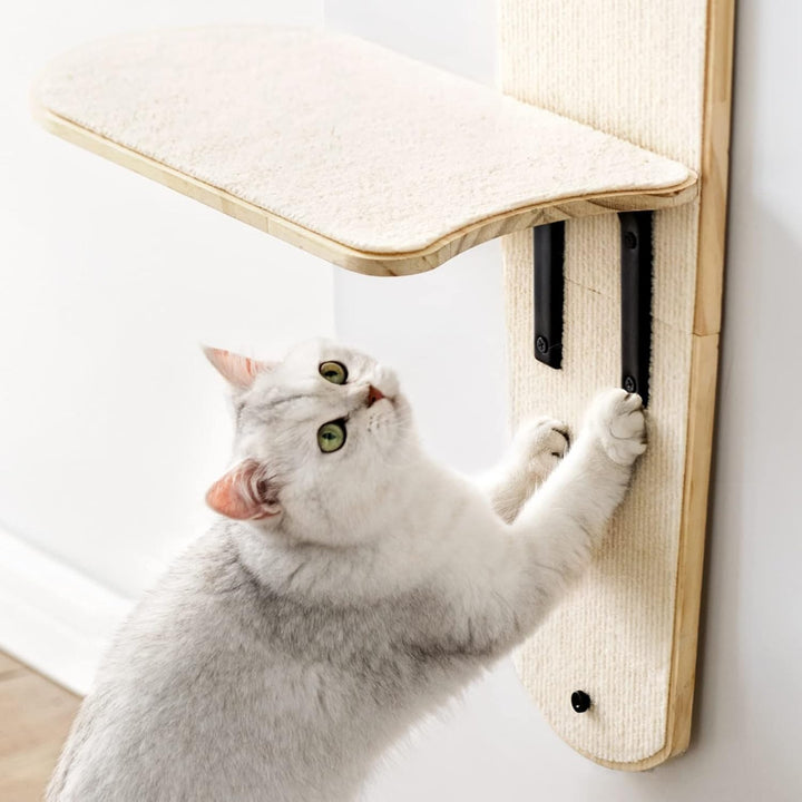 Katt klöser på kattpost i dörrmonterat träd