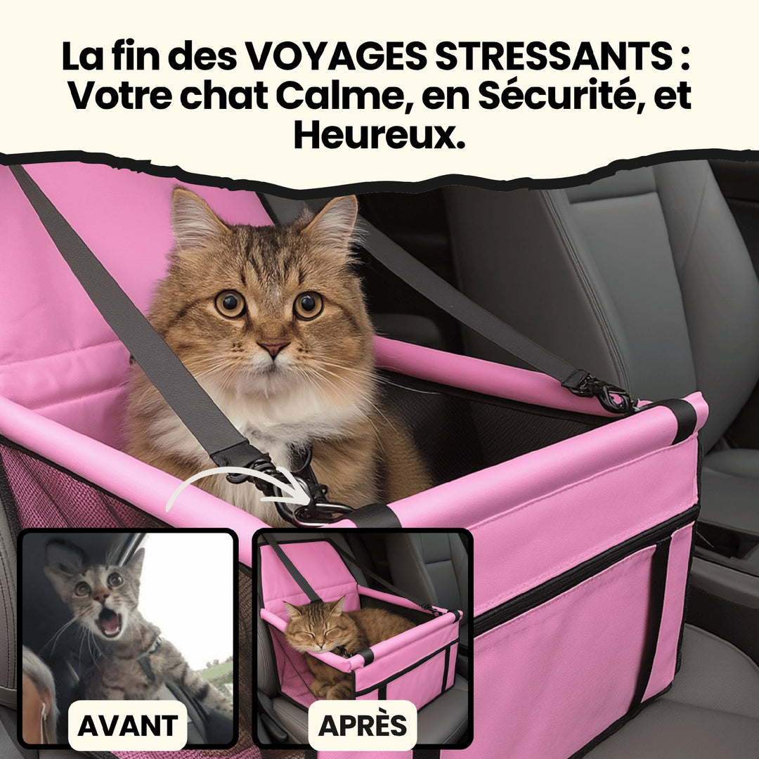 Katt i rosa bilsäte – Före/Efter