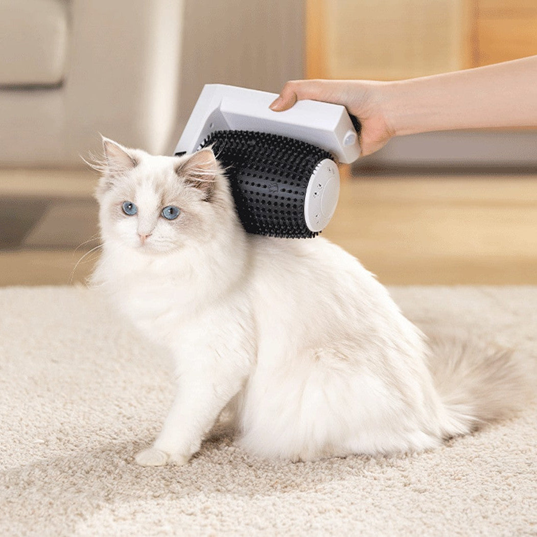 Hand borstar vit katt med automatisk kattborste