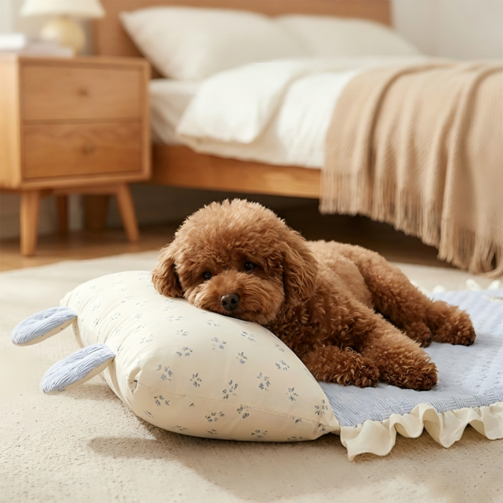 Hund som vilar på kylmatta med ergonomisk kudde