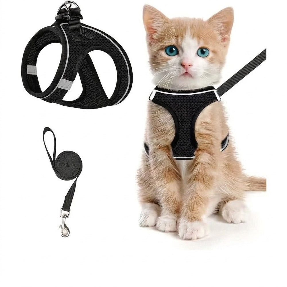 Svart kattsele i nätmaterial med kattunge