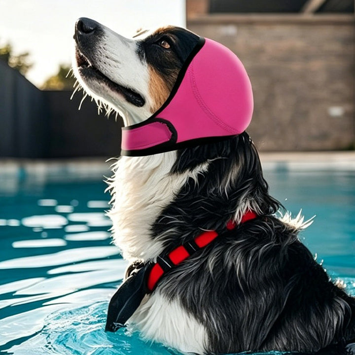 Rosa hundörontäcke - hund simmar i pool