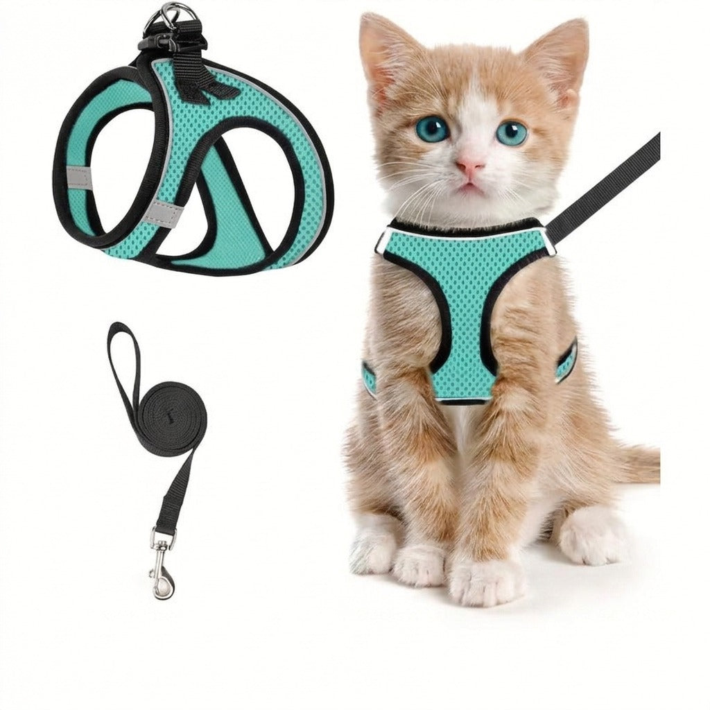 Smaragdgrön kattsele i nätmaterial med kattunge
