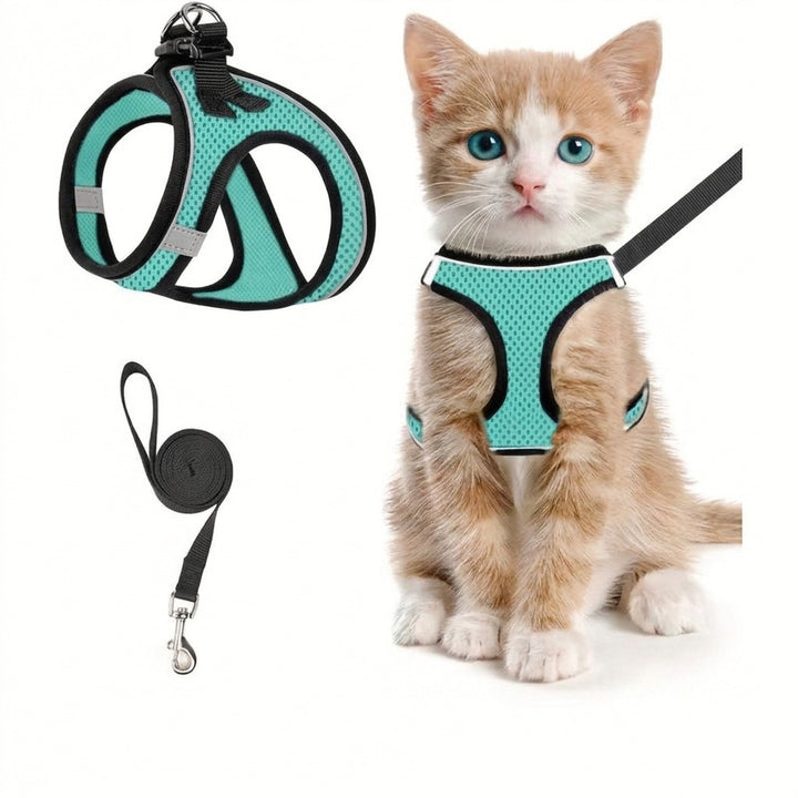 Smaragdgrön kattsele i nätmaterial med kattunge
