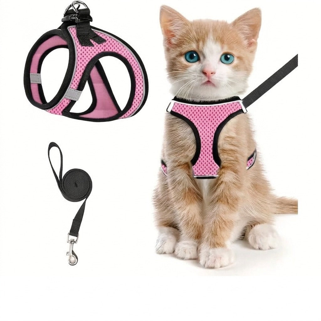 Rosa kattsele i nätmaterial med kattunge