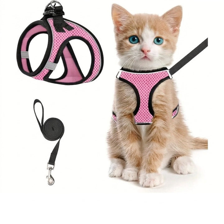 Rosa kattsele i nätmaterial med kattunge