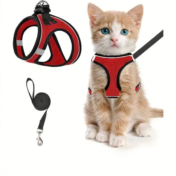Röd kattsele i nätmaterial med kattunge