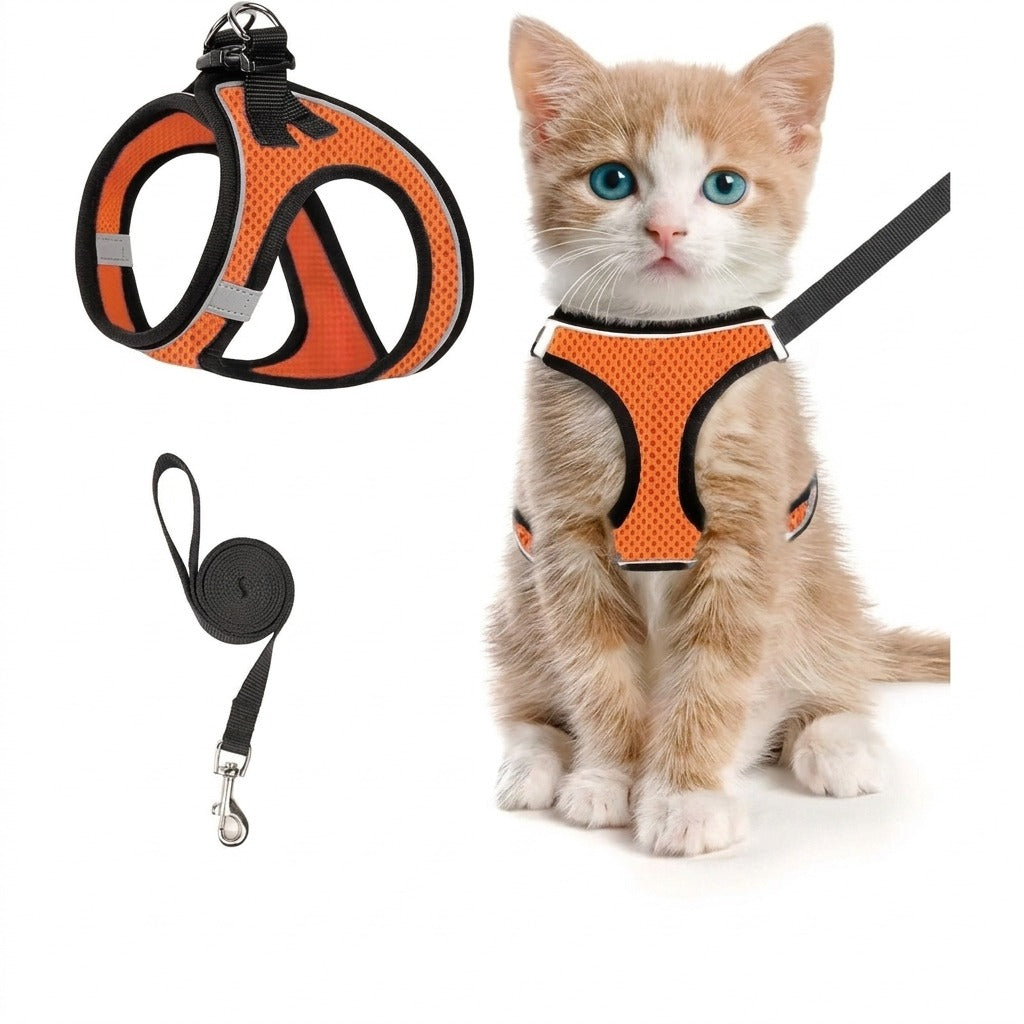 Orange kattsele i nätmaterial med kattunge
