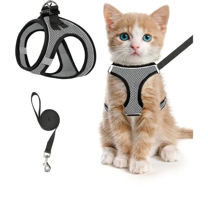 Grå kattsele i nätmaterial med kattunge