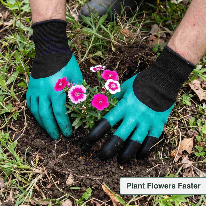 Händer i trädgårdshandskar planterar blommor i trädgården