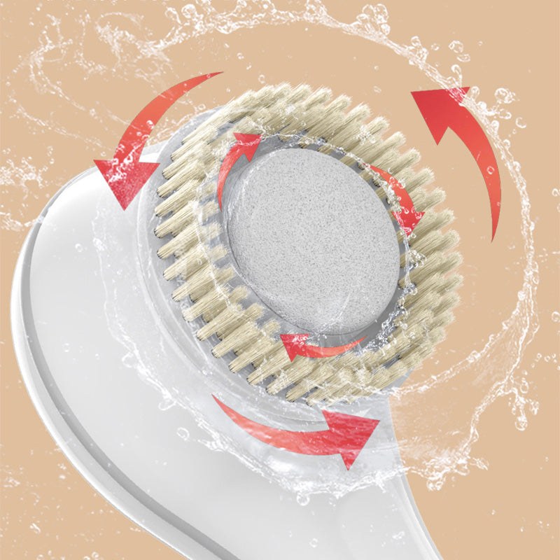 borstehovud-detalj-rotation