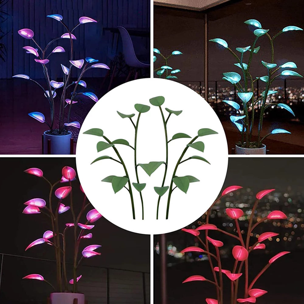 IlluminatingPlant™