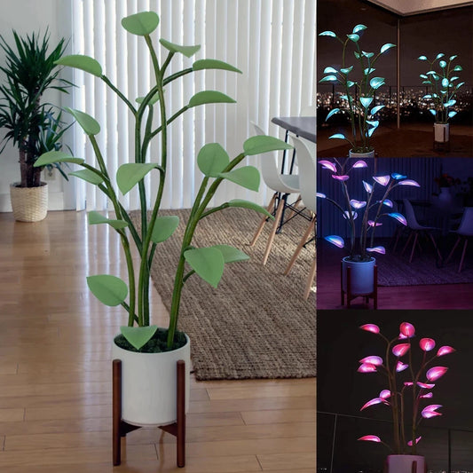 IlluminatingPlant™